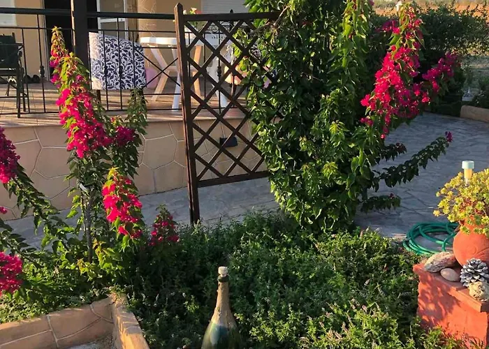 The Bougainvillea