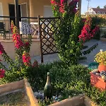 The Bougainvillea
