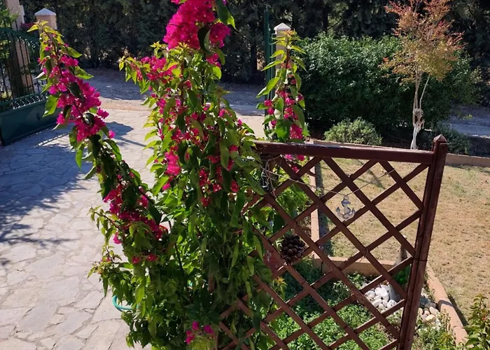 Casa vacanze The Bougainvillea *