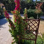 بيت للعطل The Bougainvillea *