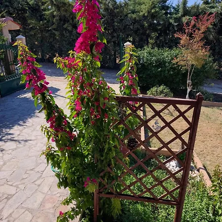 Ferienhaus The Bougainvillea *