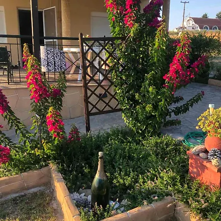 The Bougainvillea