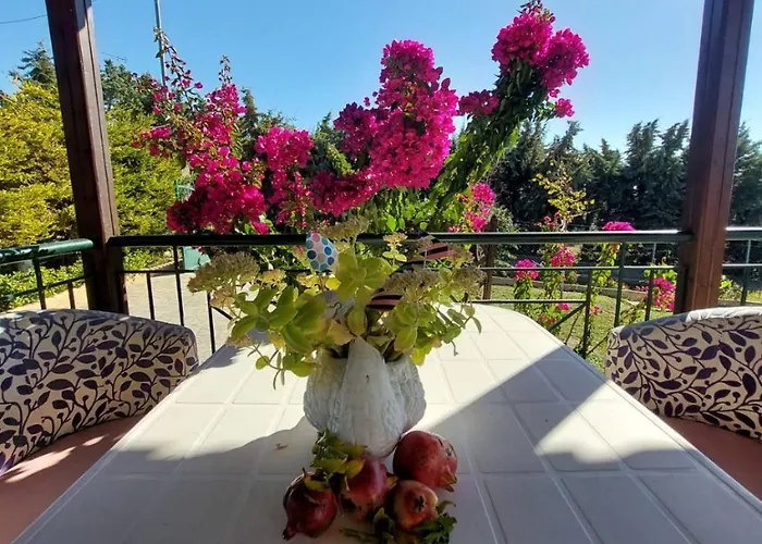 The Bougainvillea